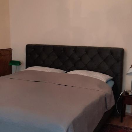 Altstadtapartment Rochusstrasse ماينتس المظهر الخارجي الصورة