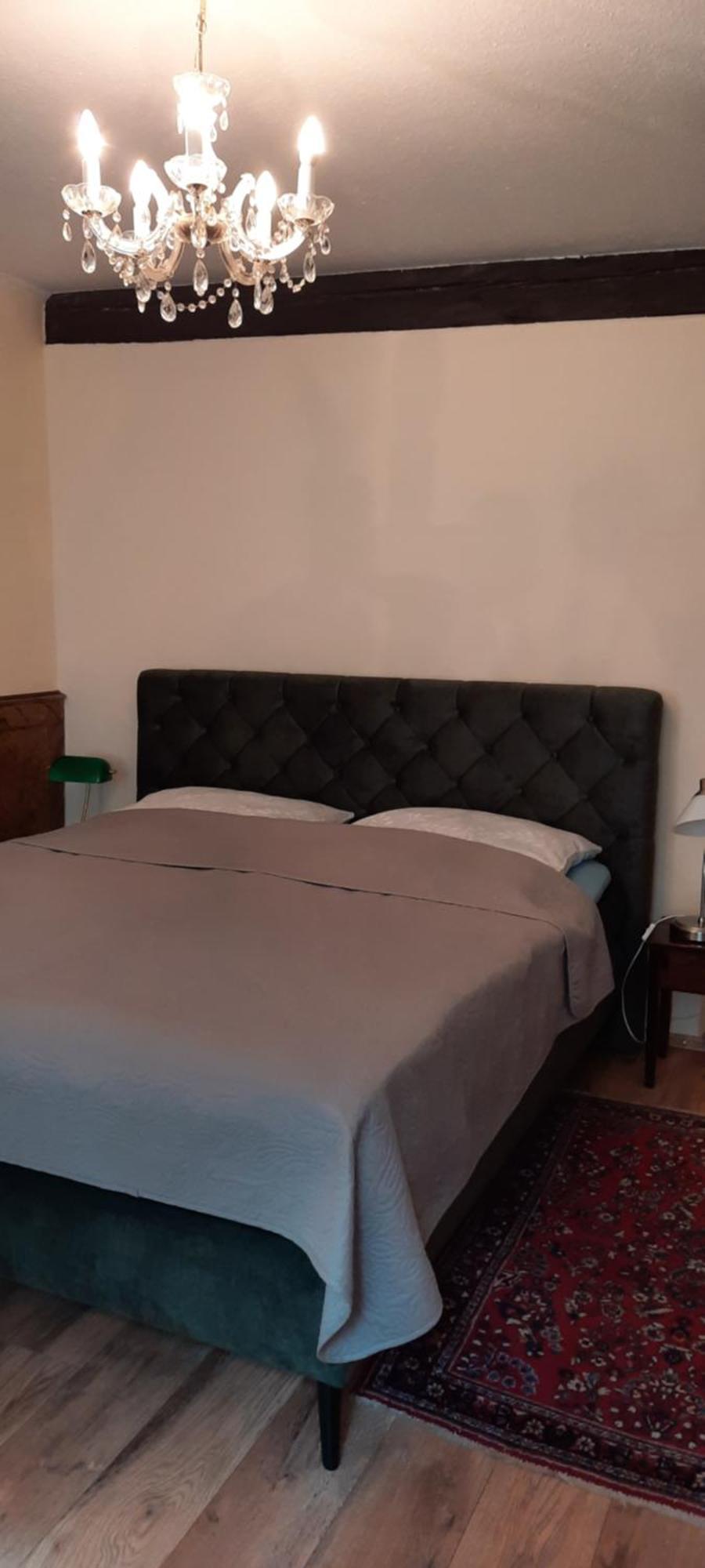 Altstadtapartment Rochusstrasse ماينتس المظهر الخارجي الصورة