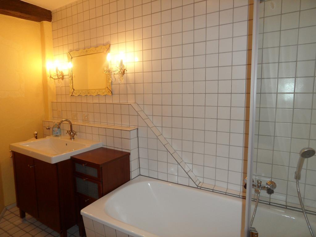 Altstadtapartment Rochusstrasse ماينتس الغرفة الصورة